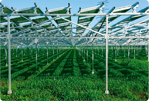 アサヒ農園の取り組み ソーラーシェアリング イメージ画像